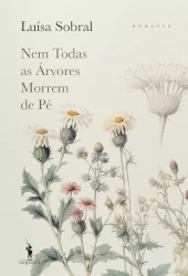 Nem todas as árvores morrem de pé