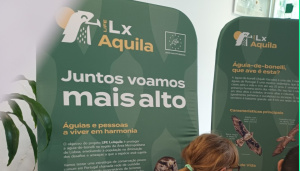 Exposição As Águias e Nós