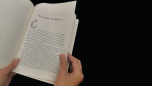 Clube de Leitura- &quot;Virar a Página&quot; /Nas Asas Da Criatividade - Desafio Artístico Da Ogma II