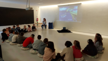 Despertar ideias, letras e palavras